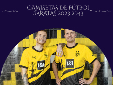 Camisetas de futbol Borussia Dortmund replicas 2023-2024